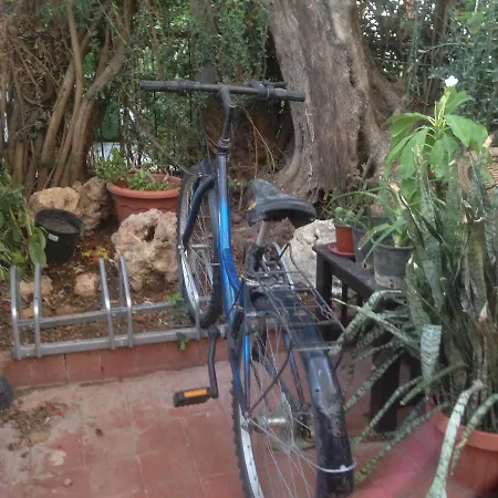 Homestay Tropic Days *