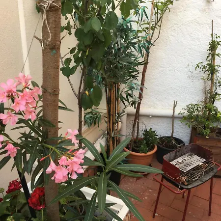 Tropic Days Homestay Palermo
